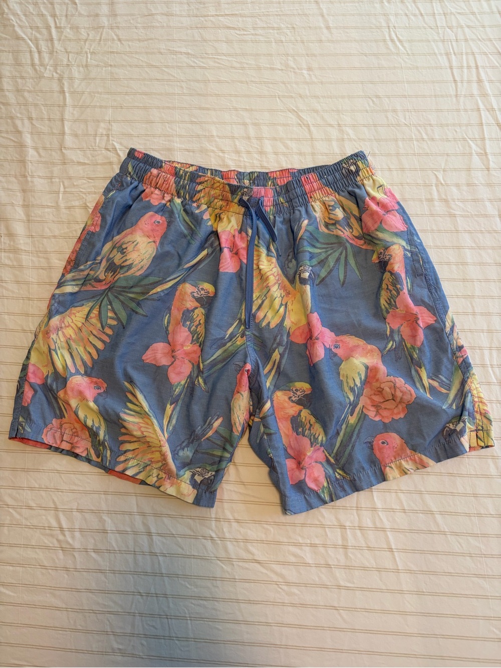 Men’s medium Chubbies swim trunks